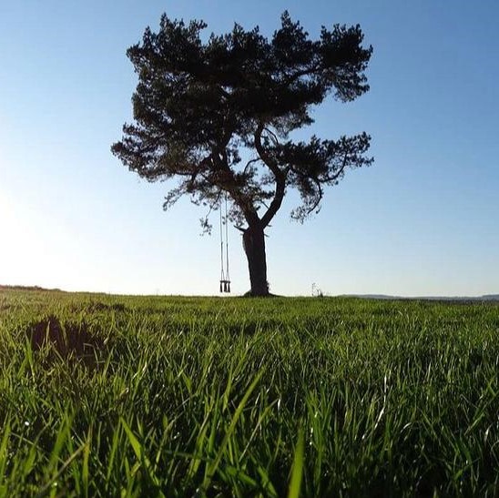 obec Raková, časť Črchľa